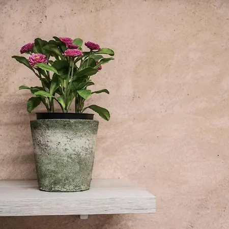 Abenrazin Turistico Guadalaviar