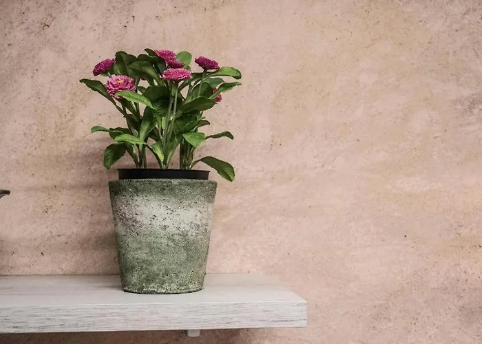 Abenrazin Turistico Guadalaviar